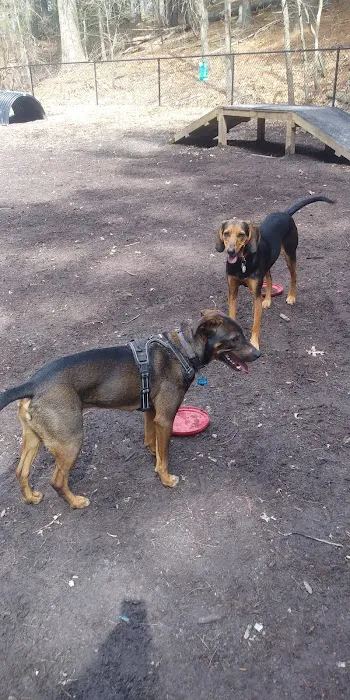 Bark Place Dog Park 6