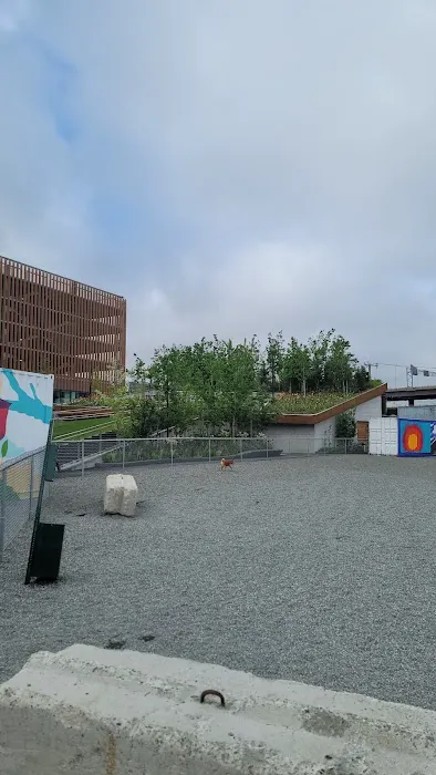 Hood Park Dog Playground 2