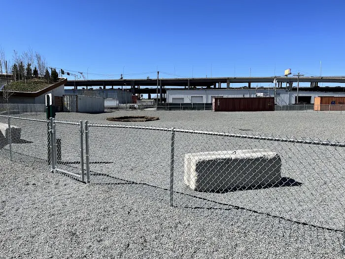 Hood Park Dog Playground 6