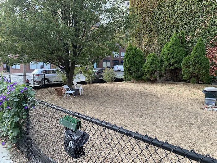 Bay Village Dog Park 9