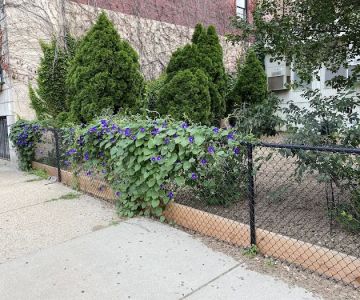 Bay Village Dog Park