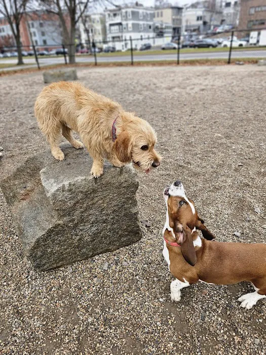 South Boston Bark Park 9