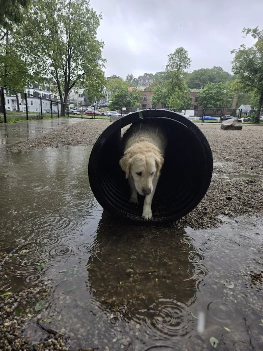 South Boston Bark Park 3