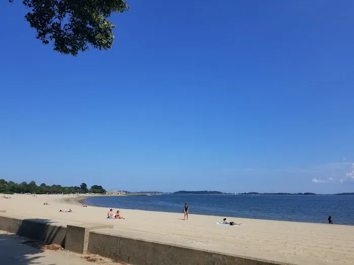 South Boston Bark Park 2
