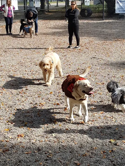 South Boston Bark Park 7
