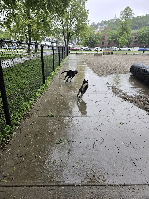 South Boston Bark Park 6