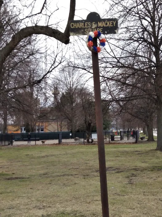 South Boston Bark Park 5
