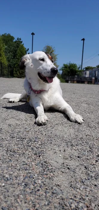 East 1st Dog Park 1