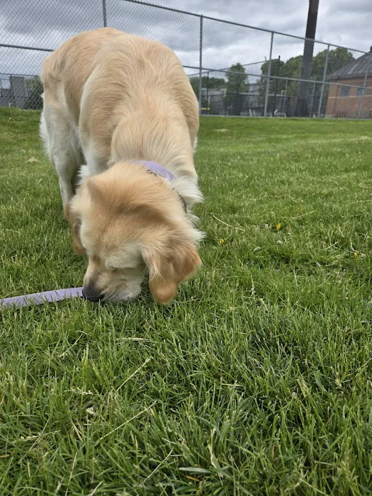 East 1st Dog Park 4