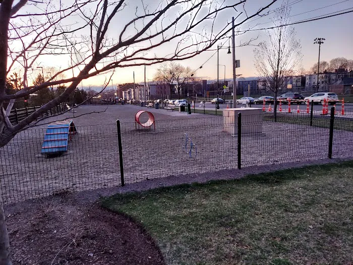 East 1st Dog Park 8