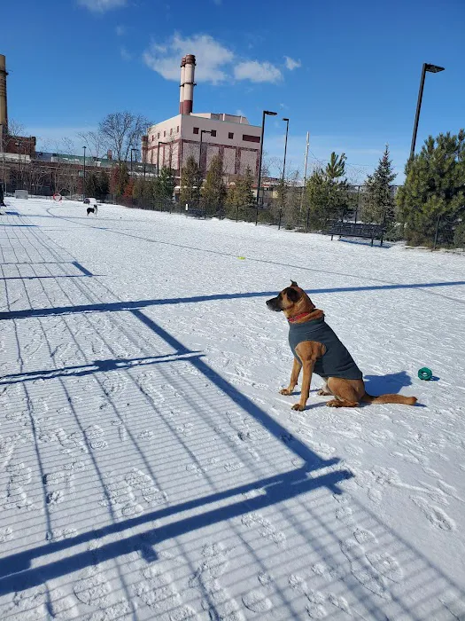 East 1st Dog Park 10