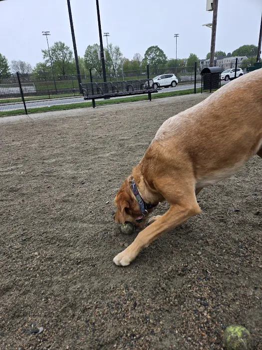 East 1st Dog Park 3