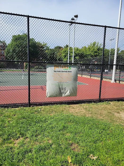 Peters Park Dog Park 6