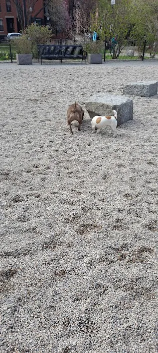 Peters Park Dog Park 3