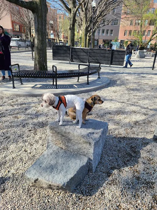 Peters Park Dog Park 5