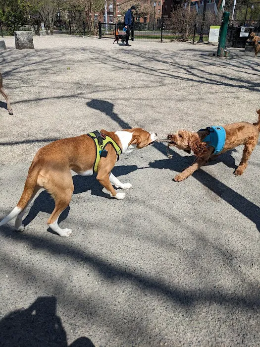 Peters Park Dog Park 1