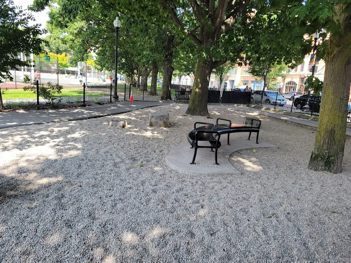 Peters Park Dog Park 10