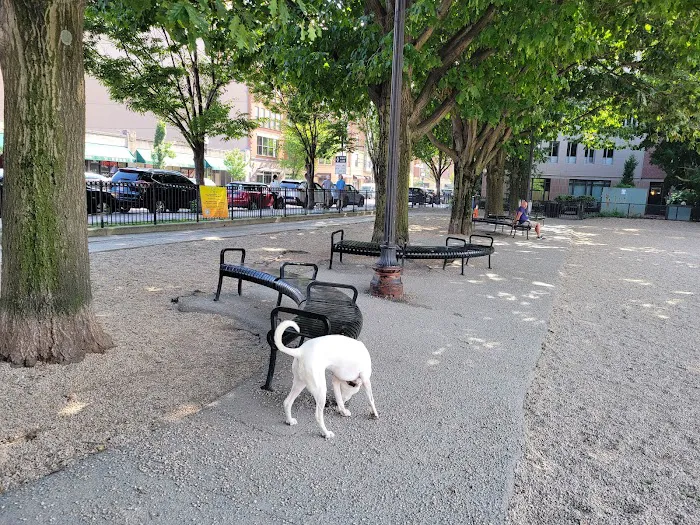 Peters Park Dog Park 7