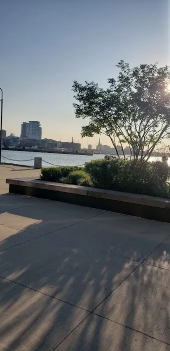 Dog Park 4