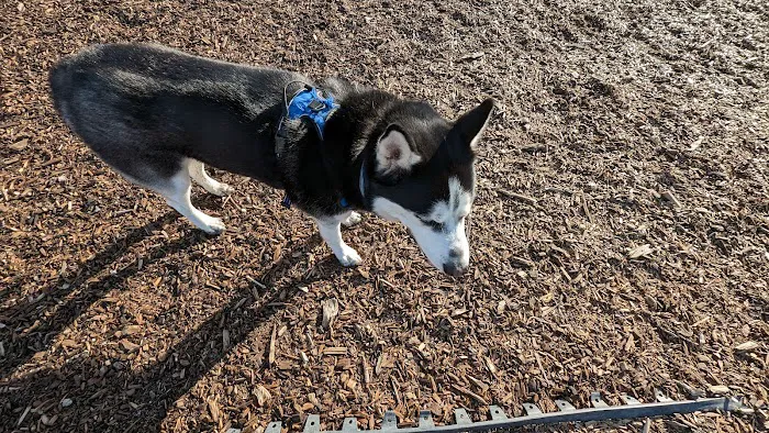 Scituate Dog Park 5