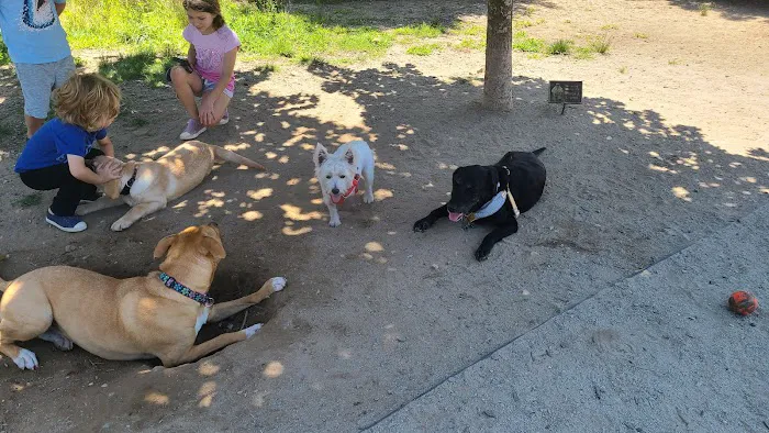 Scituate Dog Park 2