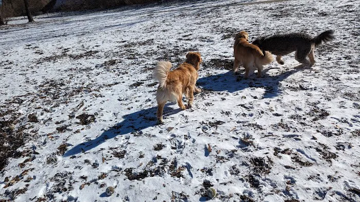Scituate Dog Park 4
