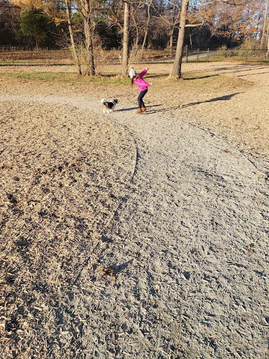 Scituate Dog Park 10