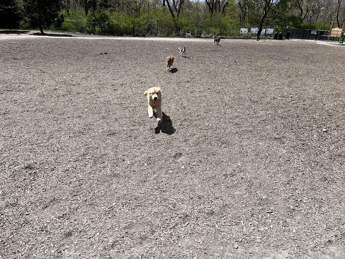 Scituate Dog Park 3