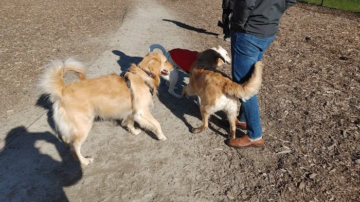 Scituate Dog Park 6
