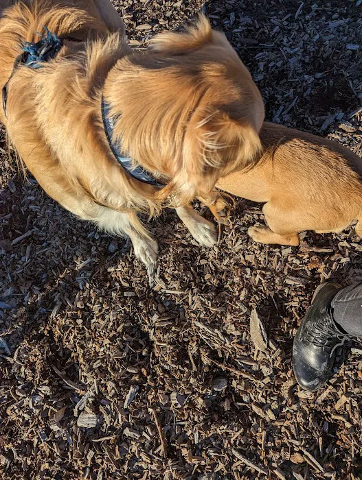 Scituate Dog Park 8