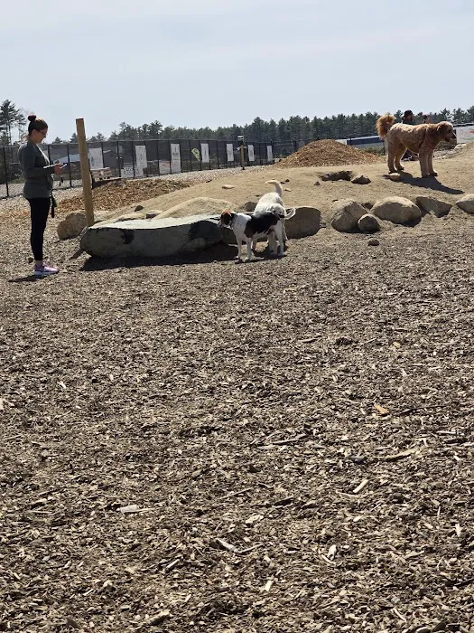 Marshfield Dog Park 8