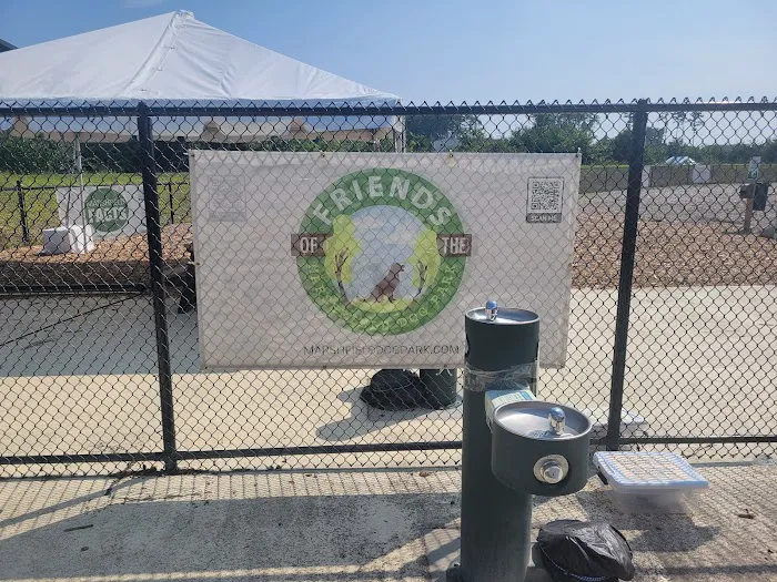 Marshfield Dog Park 5