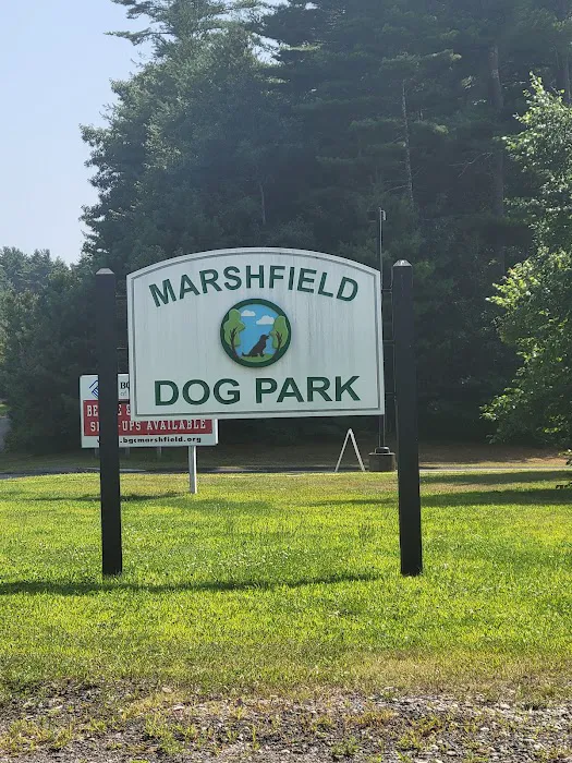 Marshfield Dog Park 7