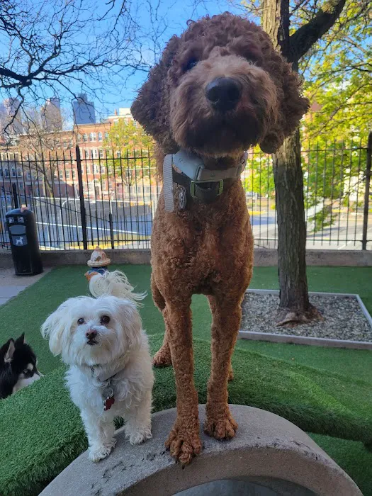 RUFF North End Dog Park 4