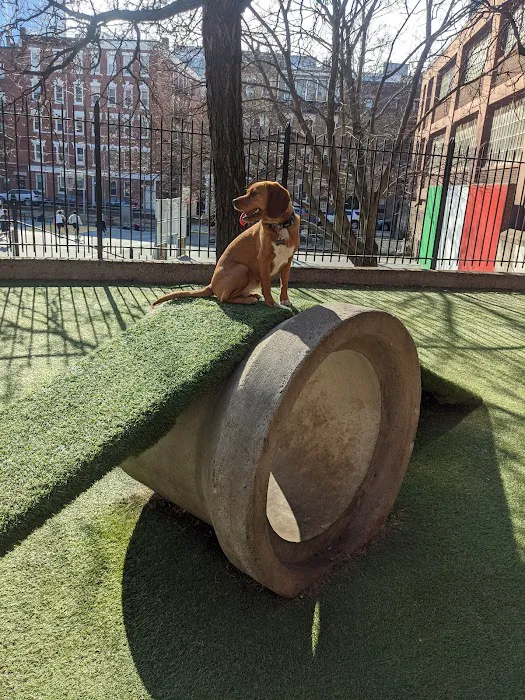 RUFF North End Dog Park 5