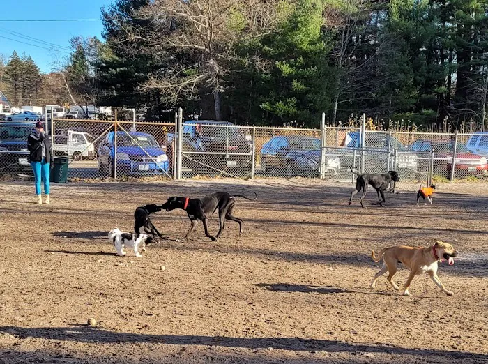 Derry Dog Park 7