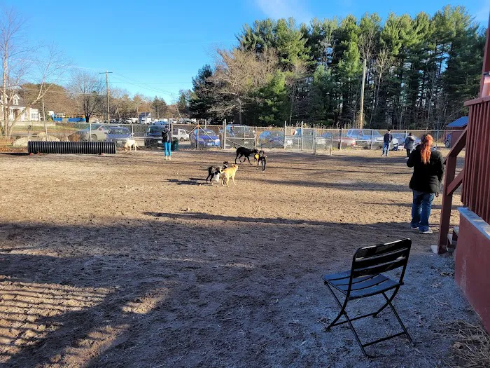 Derry Dog Park 8