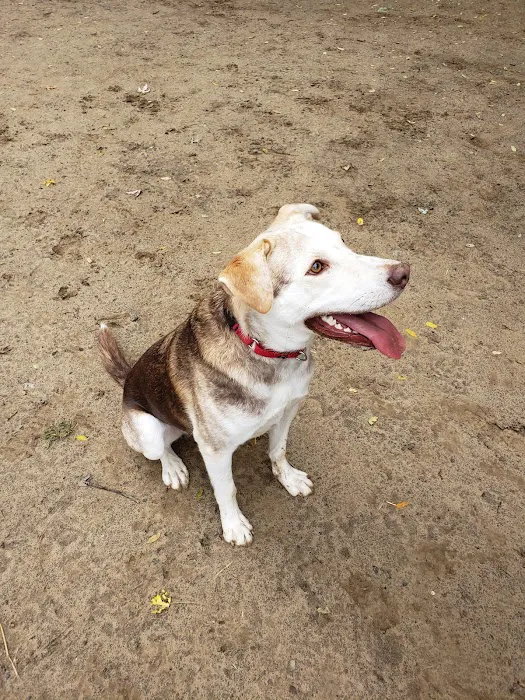 Riverside Dog Park 9