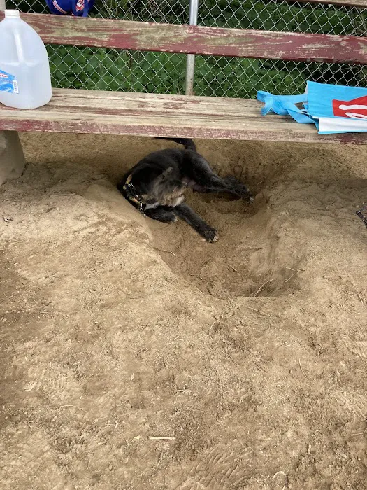 Riverside Dog Park 6