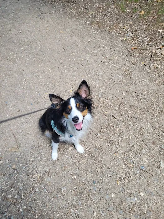 Riverside Dog Park 7