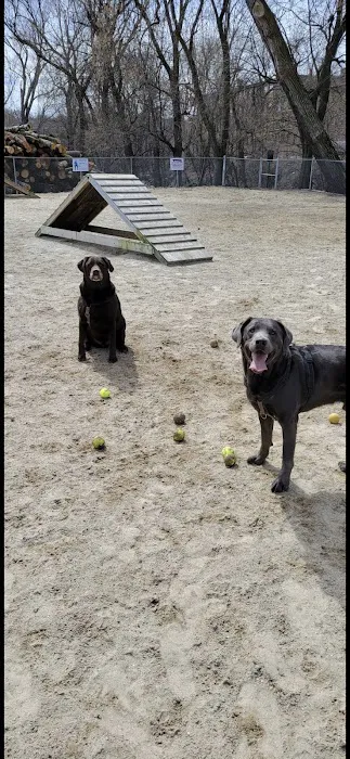 Manchester Dog Park 3