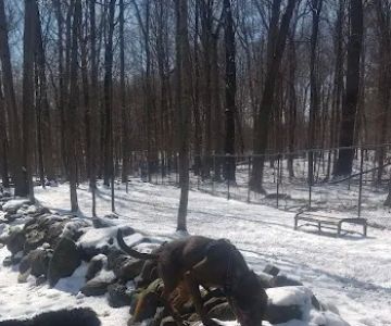 Danvers Dog Park