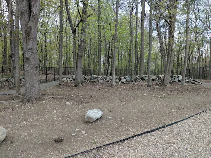 Danvers Dog Park 9