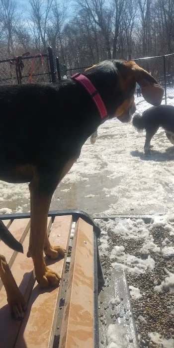 Danvers Dog Park 7
