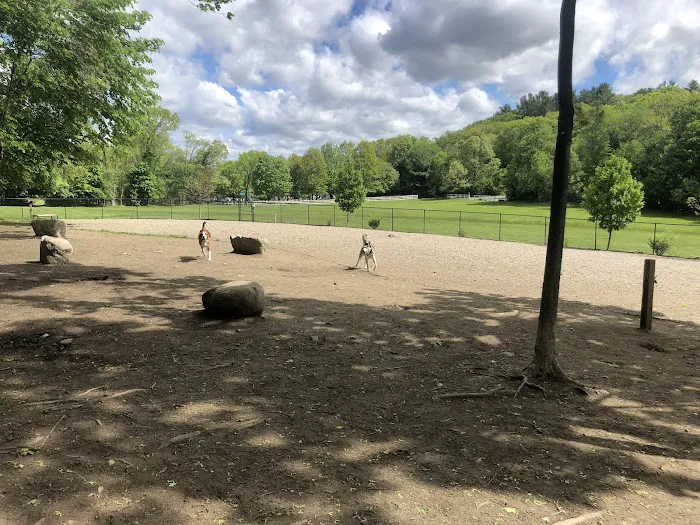 Danvers Dog Park 8