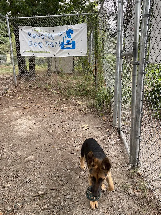 Beverly Dog Park 2