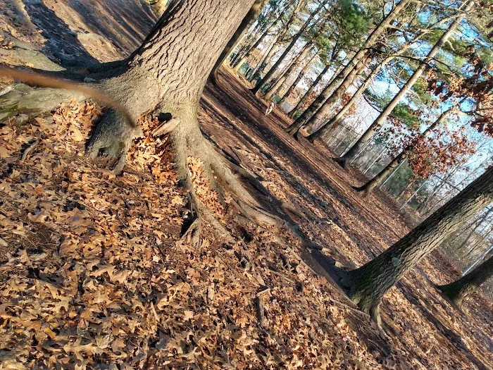 Beverly Dog Park 9