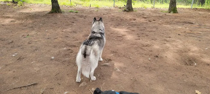 Beverly Dog Park 6