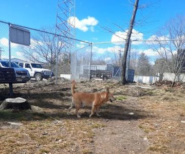 Beverly Dog Park