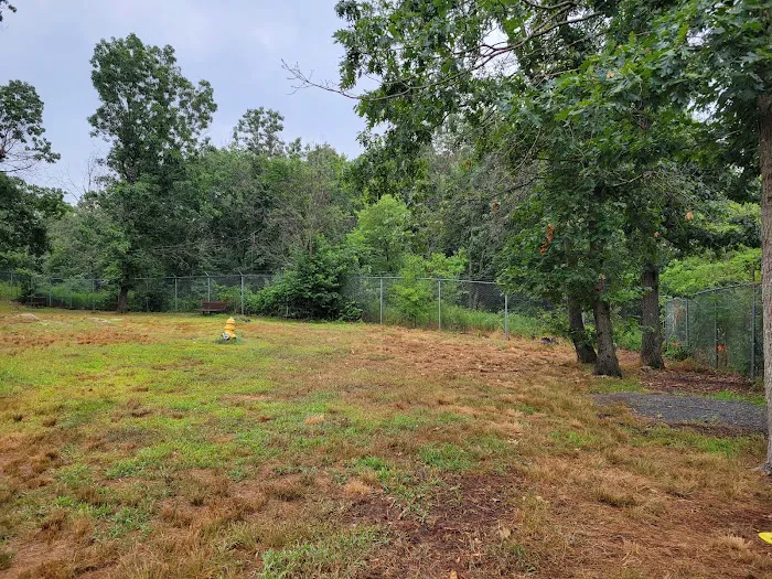 Beverly Dog Park 5